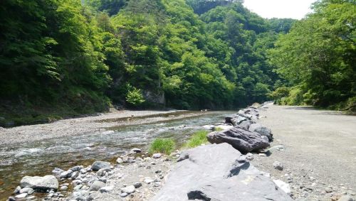 キャンプイメージ